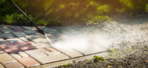 Best Driveway Cleaning and Restoration in New Bern, NC